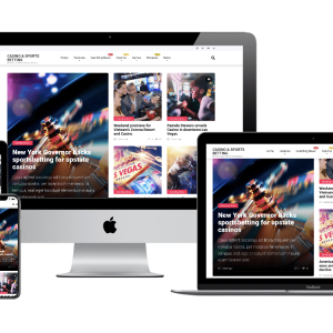 Ready Made Work At Home Turnkey Businesses for sale