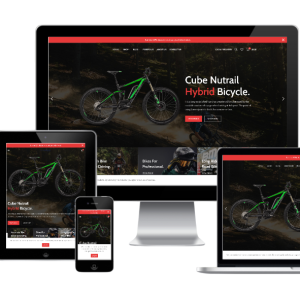 Affiliate Marketing Websites for Sale