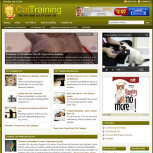 Cat Training